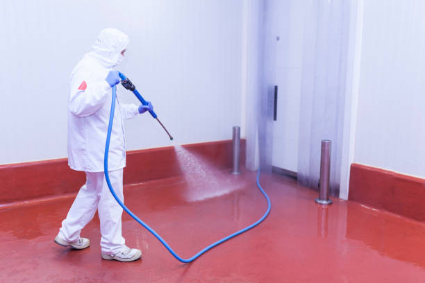 Best Restaurant Pressure Washing  in Moon Lake, FL