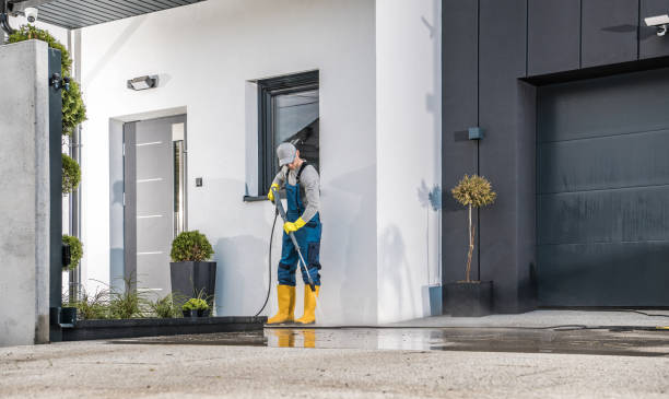 Best Gutter Cleaning  in Moon Lake, FL